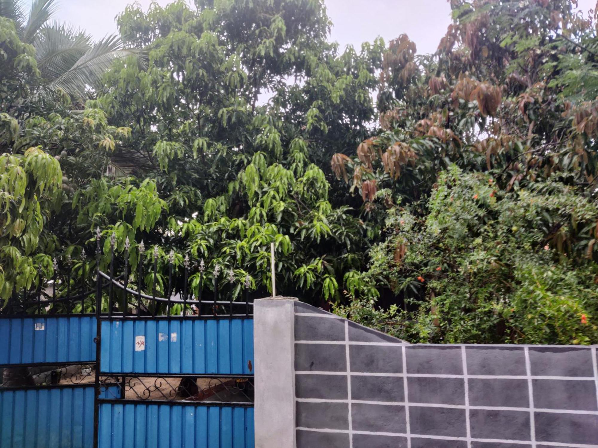 Enoch Guest House Mannar Exterior photo